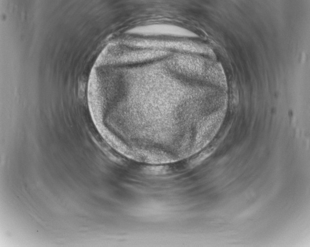 X0000087680281200706011702