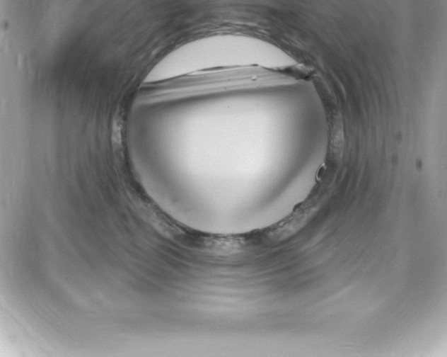 X0000087680282200706011702