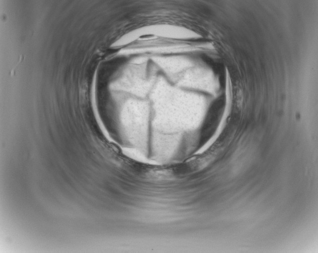 X0000087680283200706011702