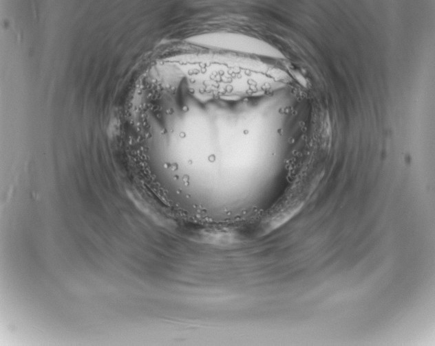 X0000087680284200706011702