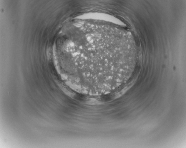 X0000087680285200706011702