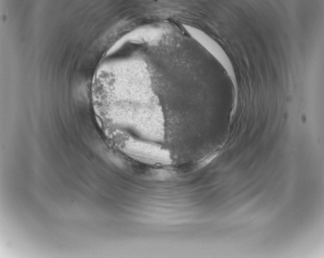 X0000087680286200706011702