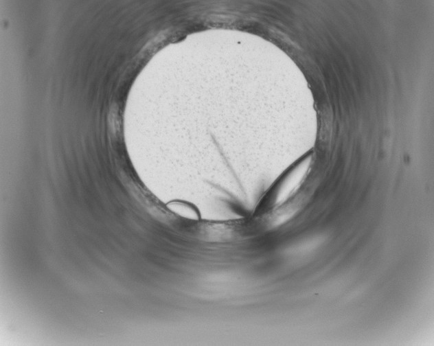 X0000087680287200706011702