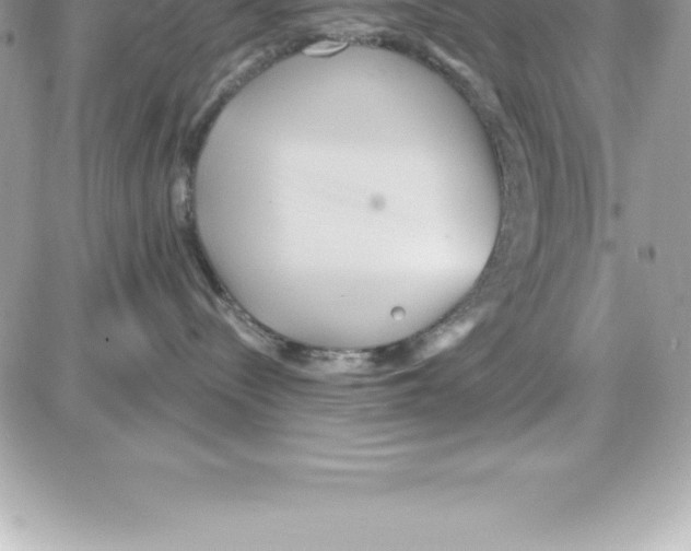 X0000087680288200706011702