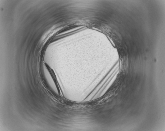 X0000087680291200706011701