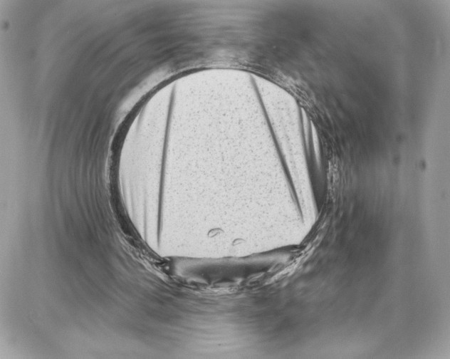 X0000087680292200706011701