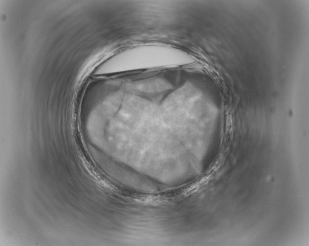 X0000087680293200706011701