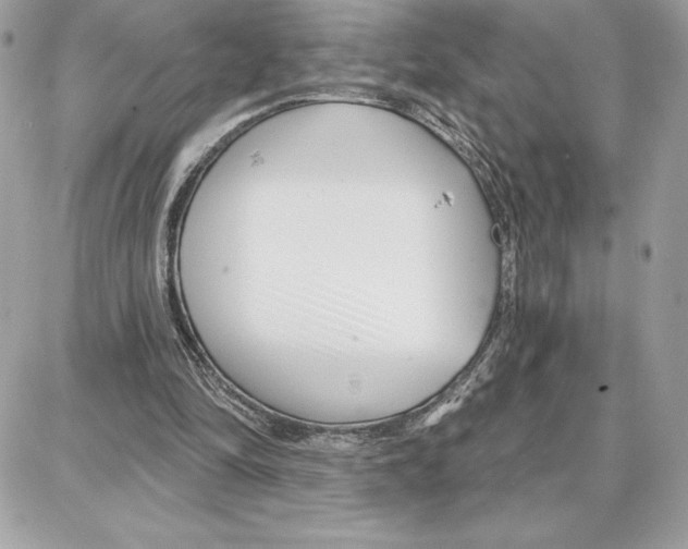 X0000087680294200706011701