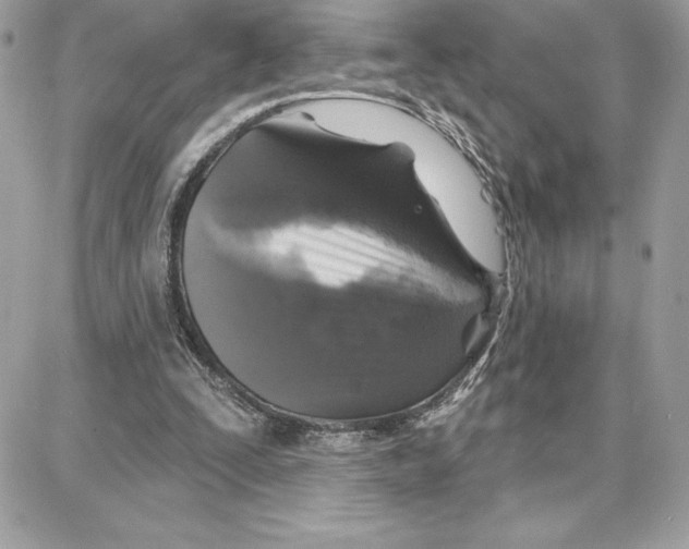 X0000087680295200706011701