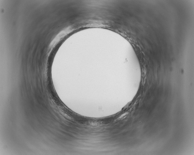 X0000087680296200706011701