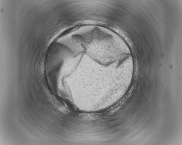 X0000087680297200706011701