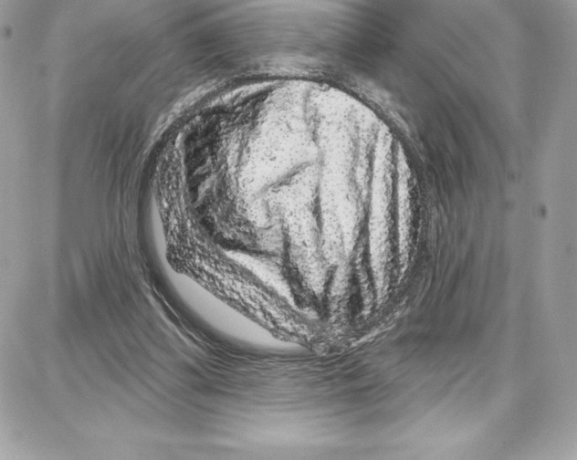 X0000087680299200706011701