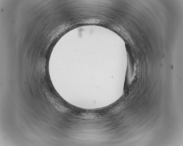 X0000087680300200706011701