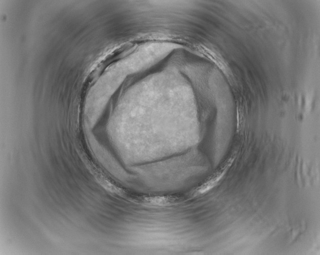 X0000087680301200706011701