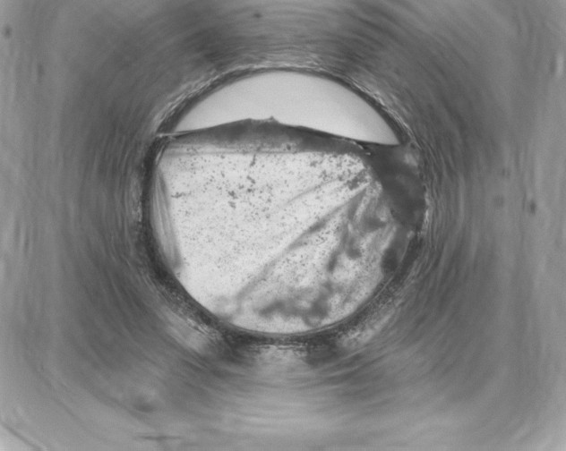 X0000087680303200706011701