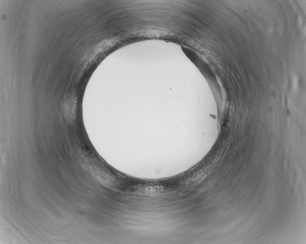 X0000087680304200706011701