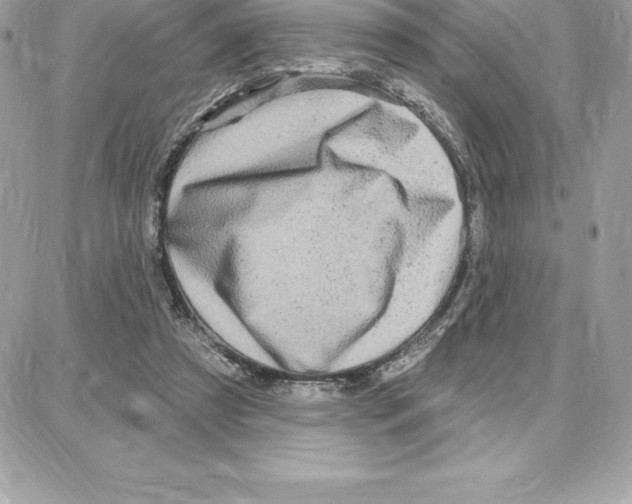 X0000087680305200706011701