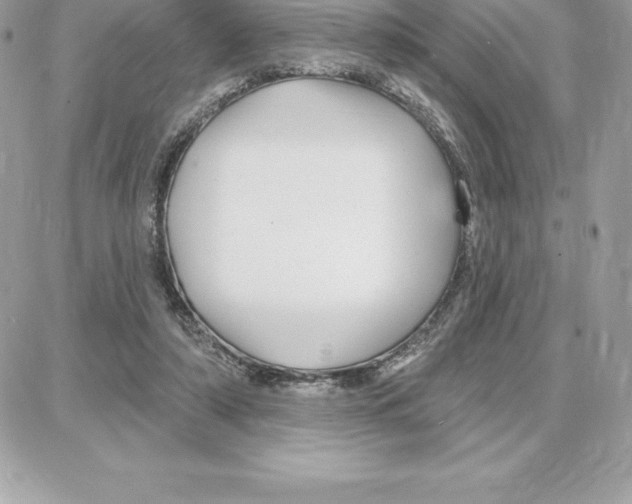 X0000087680306200706011701