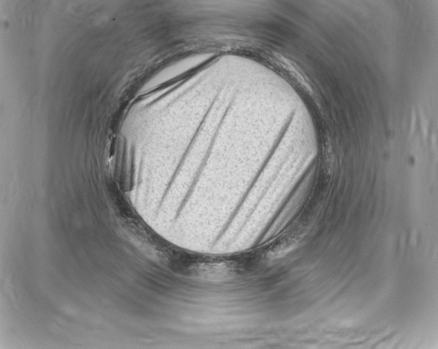 X0000087680307200706011701