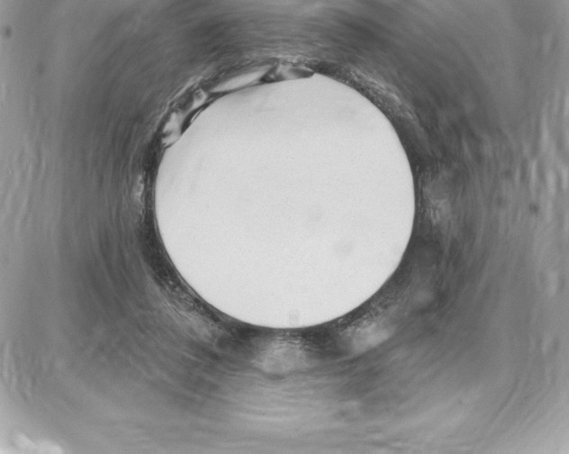 X0000087680308200706011701