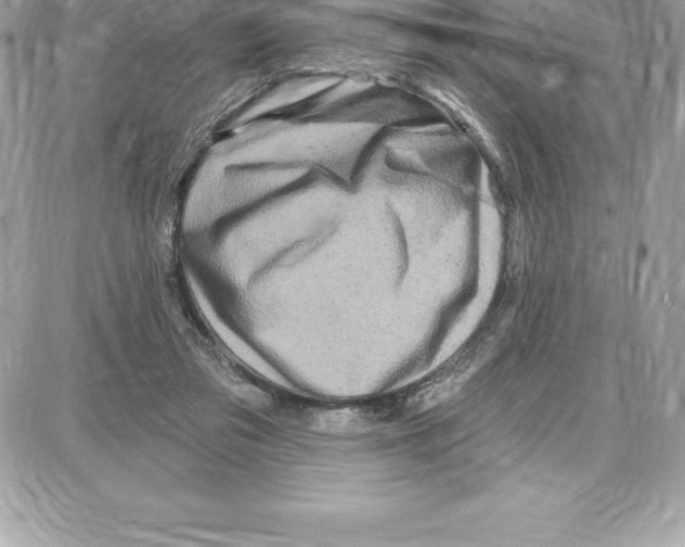 X0000087680309200706011701