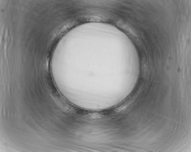 X0000087680310200706011701