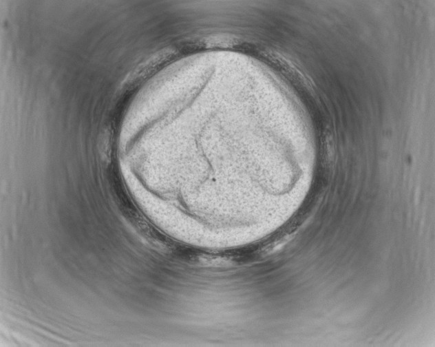 X0000087680311200706011701