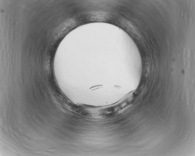 X0000087680312200706011701