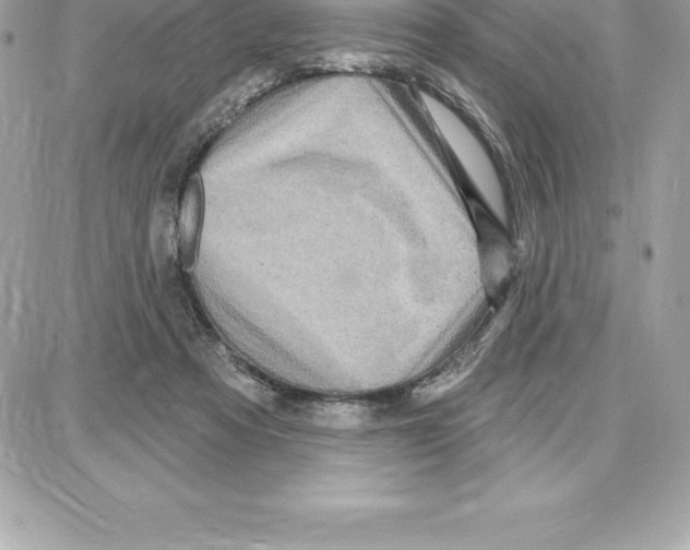 X0000087680313200706011701