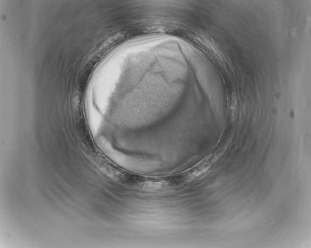 X0000087680314200706011701