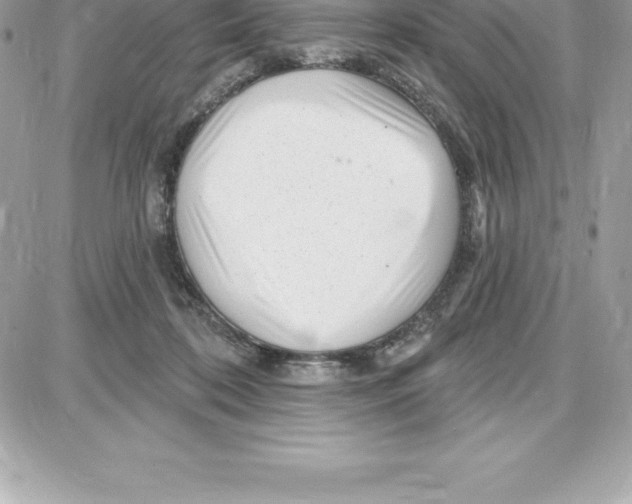 X0000087680316200706011701