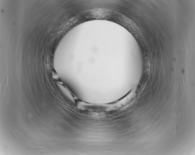 X0000087680317200706011701