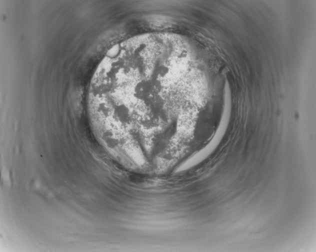 X0000087680319200706011700