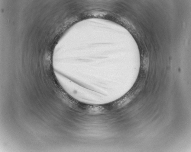 X0000087680321200706011700