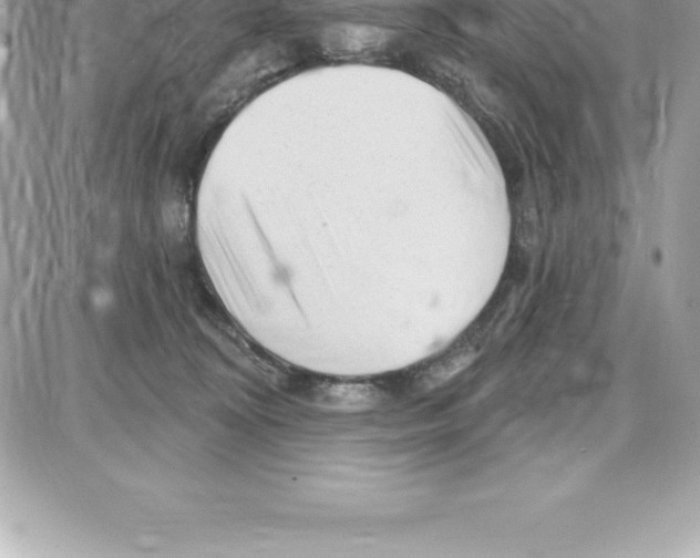 X0000087680324200706011700