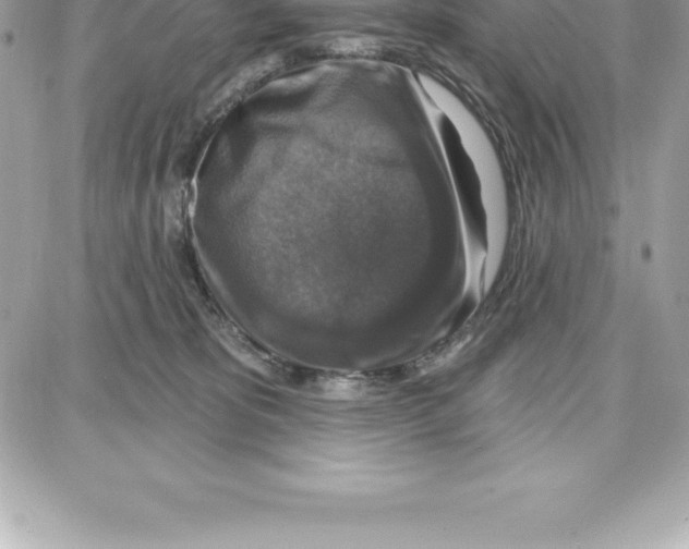 X0000087680325200706011700