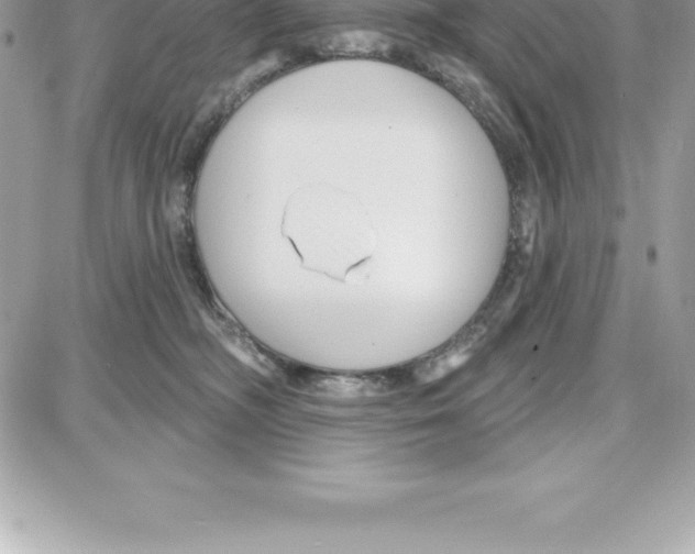 X0000087680326200706011700