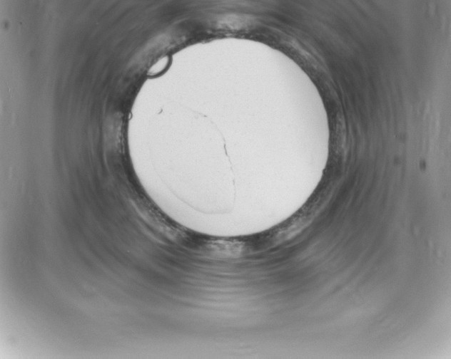 X0000087680328200706011700