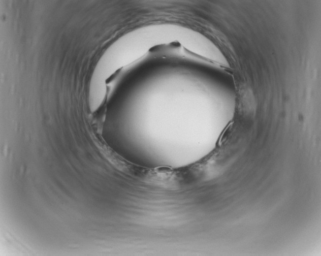 X0000087680329200706011700