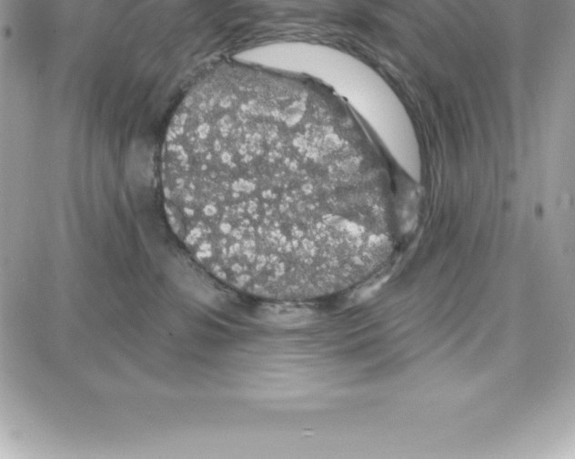 X0000087680331200706011700