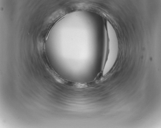 X0000087680333200706011700