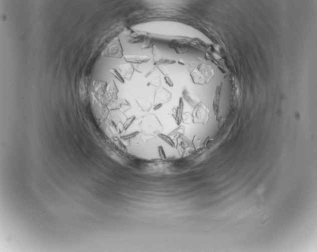 X0000087680335200706011700