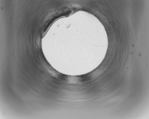 X0000087680336200706011700