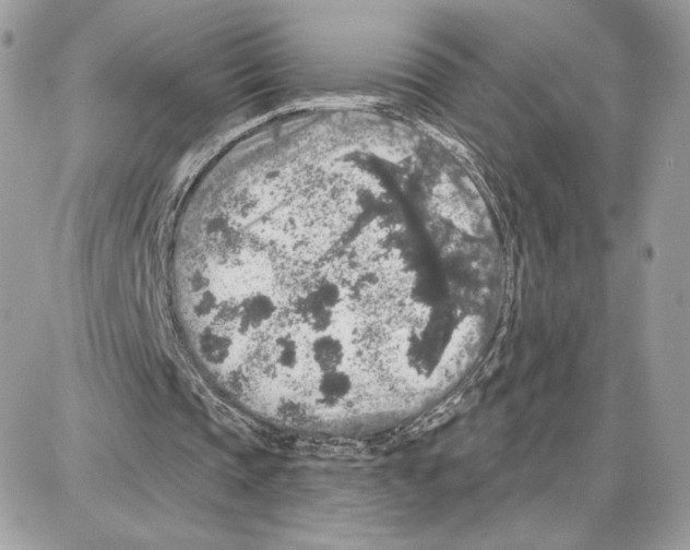 X0000087680337200706011659