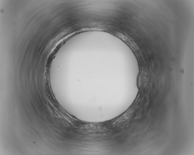 X0000087680338200706011659