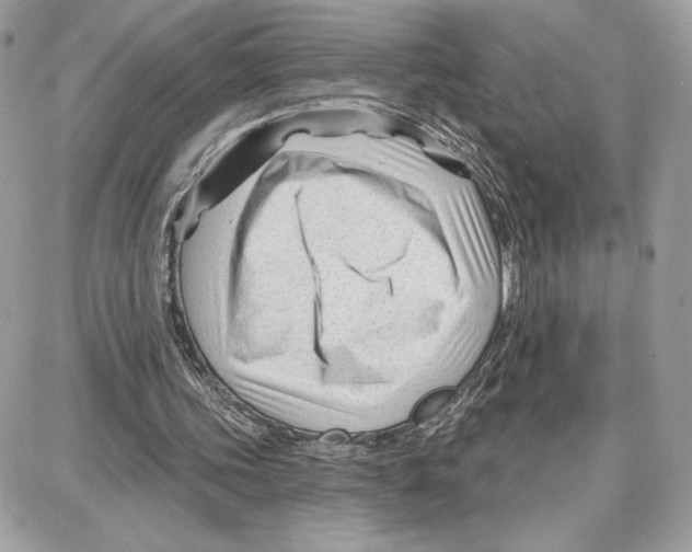 X0000087680339200706011659