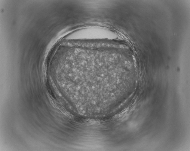 X0000087680343200706011700