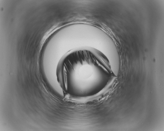 X0000087680344200706011700