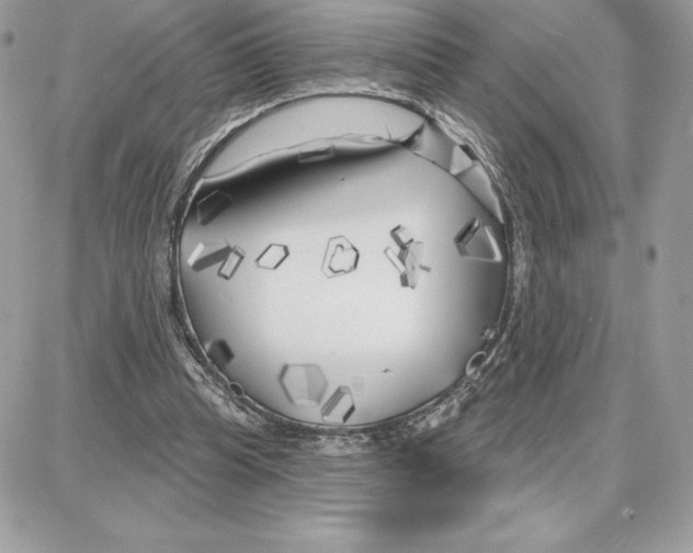 X0000087680345200706011700