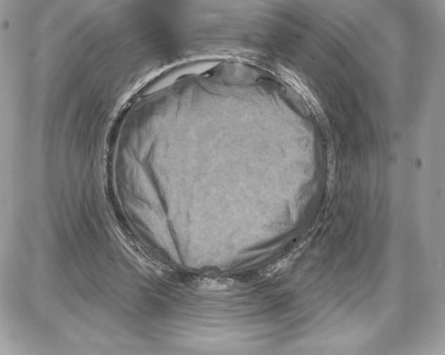 X0000087680346200706011700